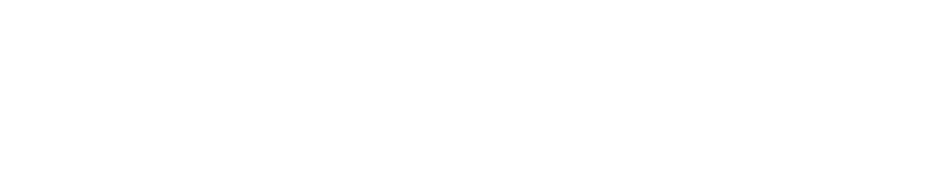Wordmark White